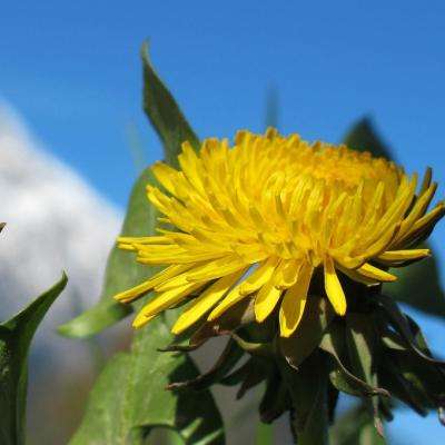 188金宝搏下载手机版